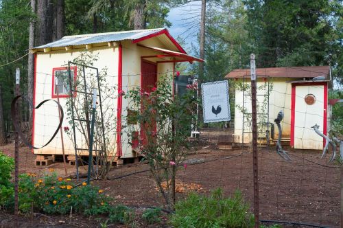 15737 Frenchtown Rd, Brownsville CA  95919-9717 exterior