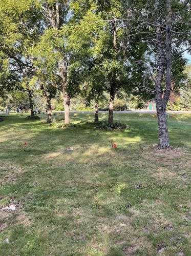 16598 Carrie Dr, Townsend WI 54175-9407 exterior