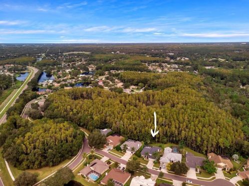 953 Cobblestone Ln, Tarpon Springs, FL 34688-9218