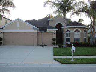 3609 Morgans Bluff Ct, Land O Lakes FL  34639-4967 exterior