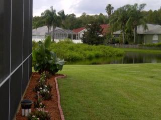 1429 Davenport Dr, New Port Richey, FL 34655-4229
