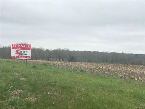 11390 Luverne Hwy, Rutledge, AL 36071