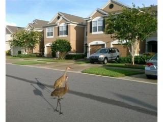 10133 Post Harvest Dr, Riverview, FL 33578-3668