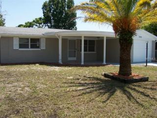 3352 Chauncy Rd, Tarpon Springs, FL 34691-3347
