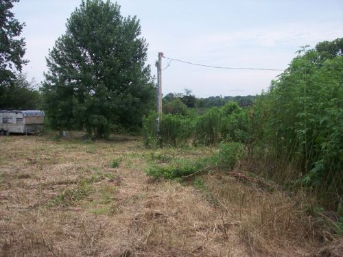 769 Dickerson Rd, Okolona, AR 71962-9502