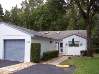 13128 Cypress Hill Dr, Port Richey, FL 34669-2829