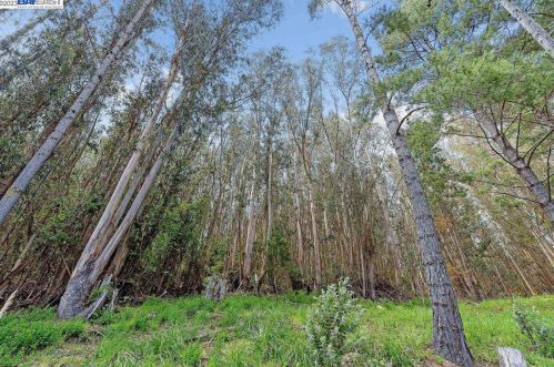 1485 Terra Nova Blvd, Pacifica CA  94044-3616 exterior