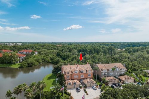 1634 Arabian Ln, Palm Harbor, FL 34685-3340