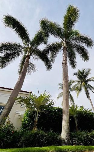 1530 Clermont Dr, Naples FL  34109-0300 exterior