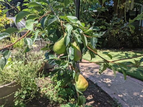 1087 Via Verona Dr, Chico CA  95973-1030 exterior