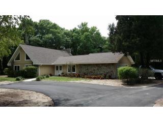 19410 Pine Tree Rd, Odessa, FL 33556-3977
