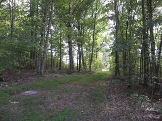 642 Amelia Springs Rd, Jetersville, VA 23083