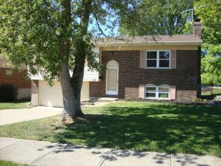 216 Merravay Dr, Florence KY  41042-2706 exterior