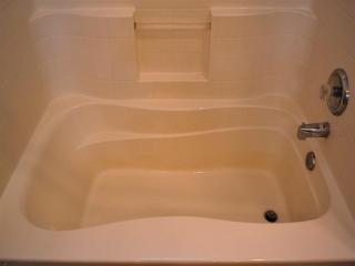 208 Clay Thorn Ct, Greer SC  29651-5856 exterior