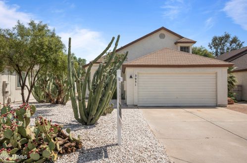 3951 Butler St, Chandler, AZ 85226-3866