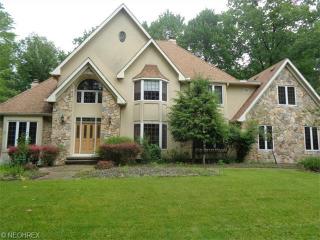 8543 Hemlock Ridge Dr, Willoughby, OH 44094-8643