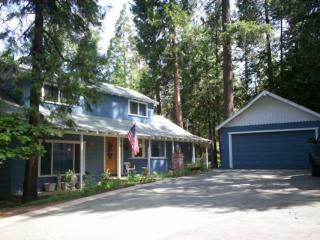 24925 Buckhorn Ridge Rd, Pioneer, CA 95666-9488