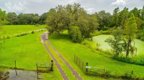 14010 Wp Ln, Thonotosassa FL  33592-4204 exterior