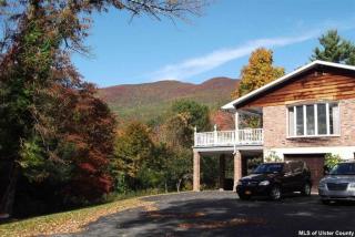 122 Sheldon Hill Rd, Olive, NY 12461-5323