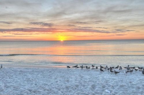 807 River Point Dr, Naples FL  34102-3477 exterior