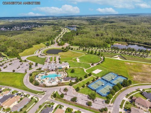 8239 Swiss Chard Cir, Land O Lakes FL  34637-7662 exterior