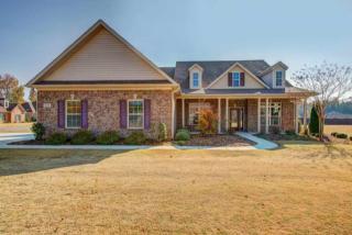 288 Blue Creek Dr, Harvest, AL 35749-9646