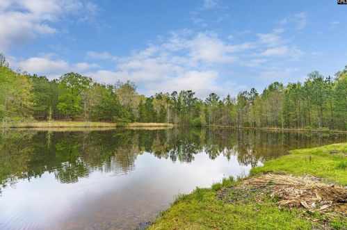 1805 Lorick Rd, Blythewood, SC 29016-9665