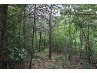 4621 Three Square Rd, Goochland VA  23063-3522 exterior