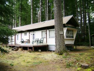 160 Cowlitz View Dr, Packwood, WA 98361-9707