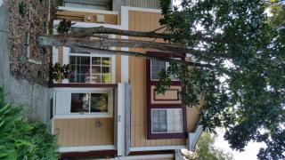 966 Franklin Ct, Palm Harbor FL  34683-6331 exterior