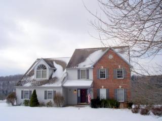 257 Burts Rd, Langdon, NY 13795-1732