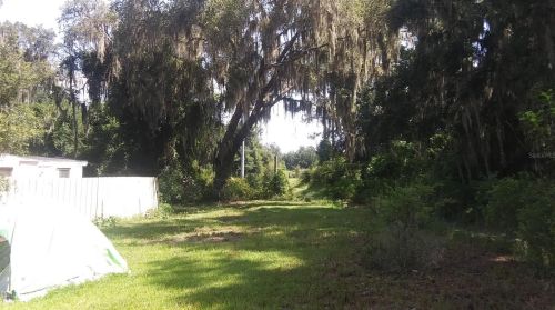 4818 166th Ter, Ocklawaha FL  32179-2890 exterior