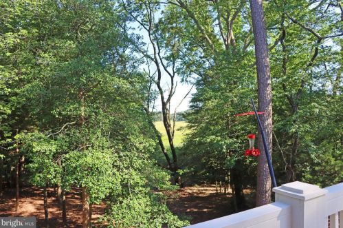 36161 Tarpon Dr, Lewes DE  19958-5052 exterior