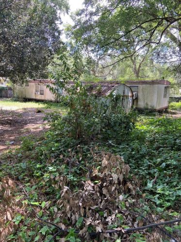 31628 Osgood St, Mount Plymouth, FL 32776-9321