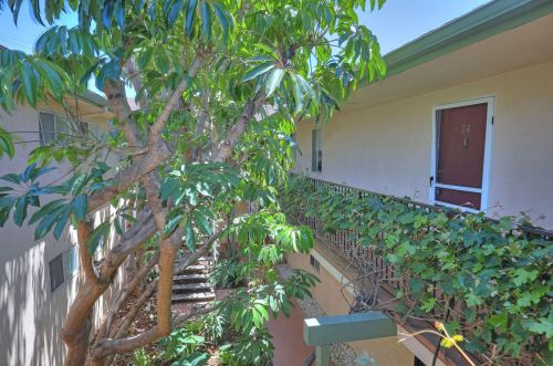 3435 Richland Dr, Santa Barbara CA  93105-5208 exterior