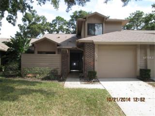 423 Newton Pl, Longwood, FL 32779-2229