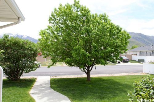379 1050, Payson, UT 84651-3216