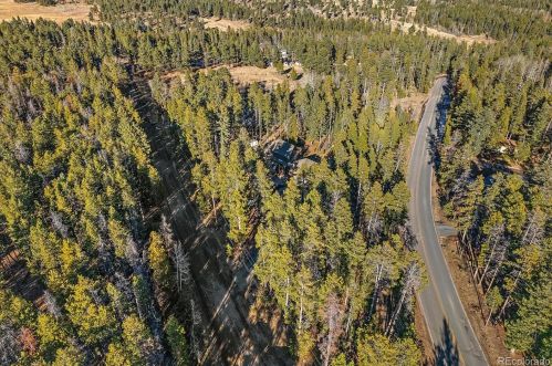 10850 Oehlmann Ave, Conifer, CO 80433-4609