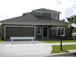 2927 Etowah Park Blvd, Tavares, FL 32778-2002
