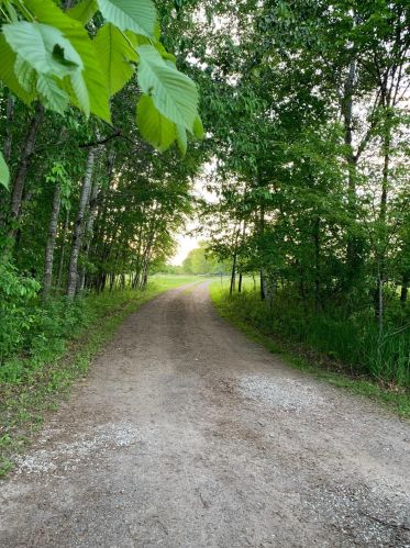 18282 22nd St, Princeton MN  55371-3115 exterior