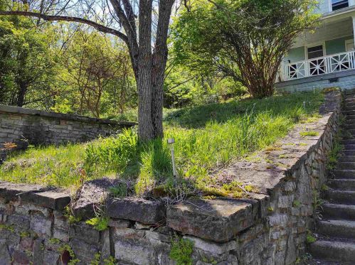 1110 7th Ave, Newport, KY 41074-1341