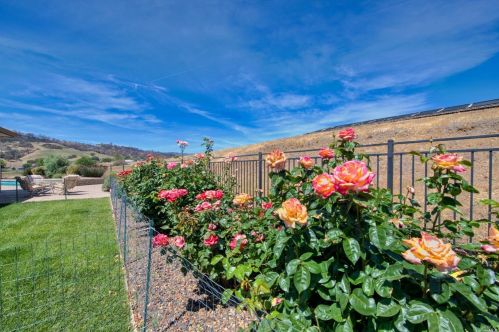 3959 Skyhawk Ln, Vacaville CA  95688-9516 exterior