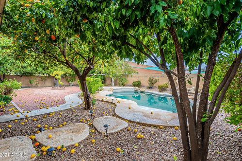 5330 Angela Dr, Scottsdale AZ 85254-6409 exterior