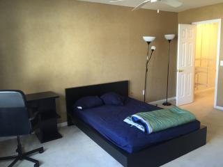 1303 Briarwood Ct, Rocky Hill CT  06067-3832 exterior