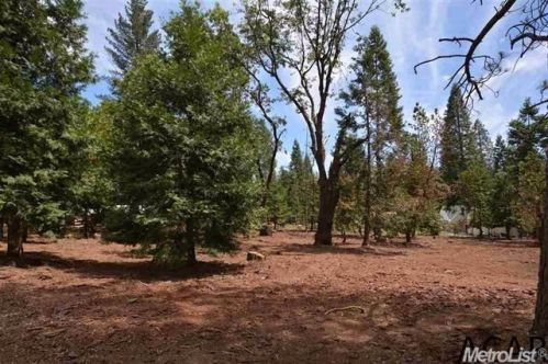 23774 Woodfern Dr, Pioneer, CA 95666-8905