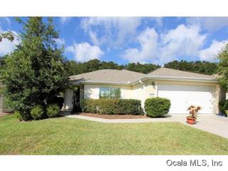13382 86th Cir, Summerfield, FL 34491-8264