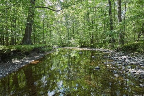 19 Billy Ave, Washingtonville NY  10992-1401 exterior