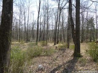 62 Mountain Rd, Gardiner, NY 12525