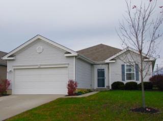 958 Darlington Creek Rd, Grants Lick, KY 41001-7278