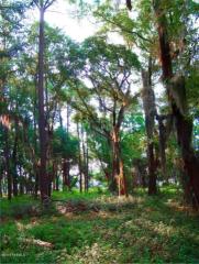 44 Cameroon Dr, Beaufort, SC 29907-1121